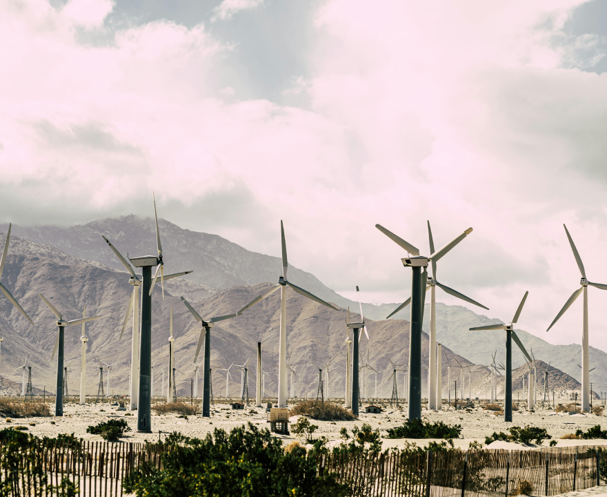 Invest in Renewable Energy